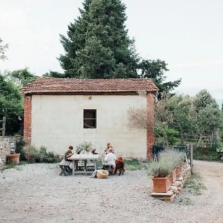 Buonvisi * Lucca
