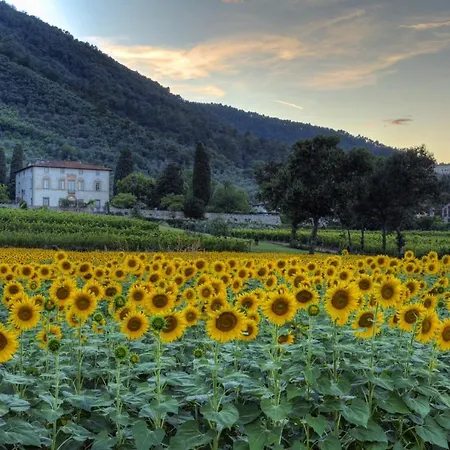 Buonvisi B&B 루카