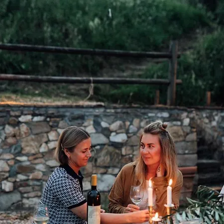 B&B Buonvisi *