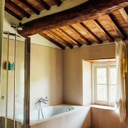 B&B Buonvisi *