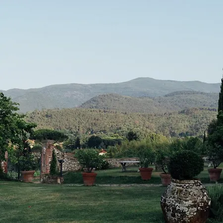 B&B Buonvisi *