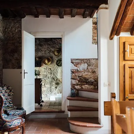 B&B Buonvisi