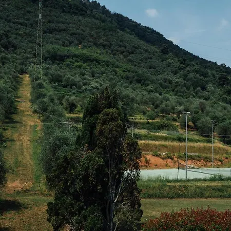 Buonvisi B&B *