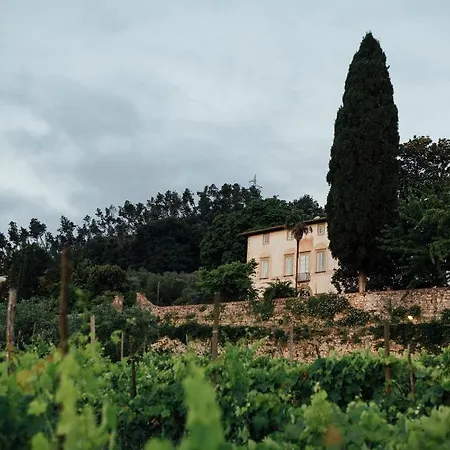 Buonvisi B&B 루카