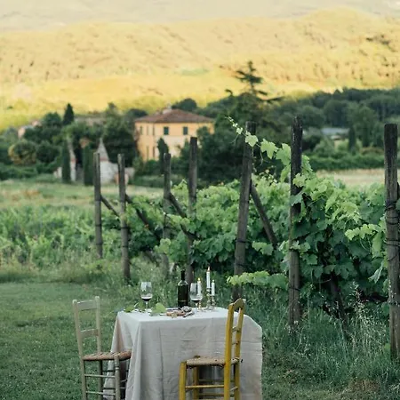 Buonvisi