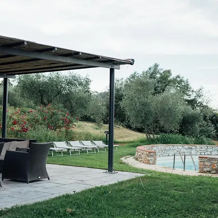 B&B Buonvisi *